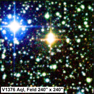 V1376 Aql auf DSS-Aufnahmen