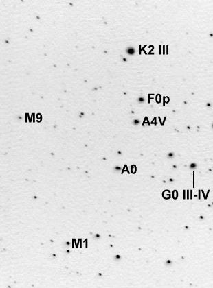 M9-Stern in Coma, invertierte IRB-Aufnahme