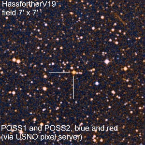 color-image of the new variable star HassfortherV19